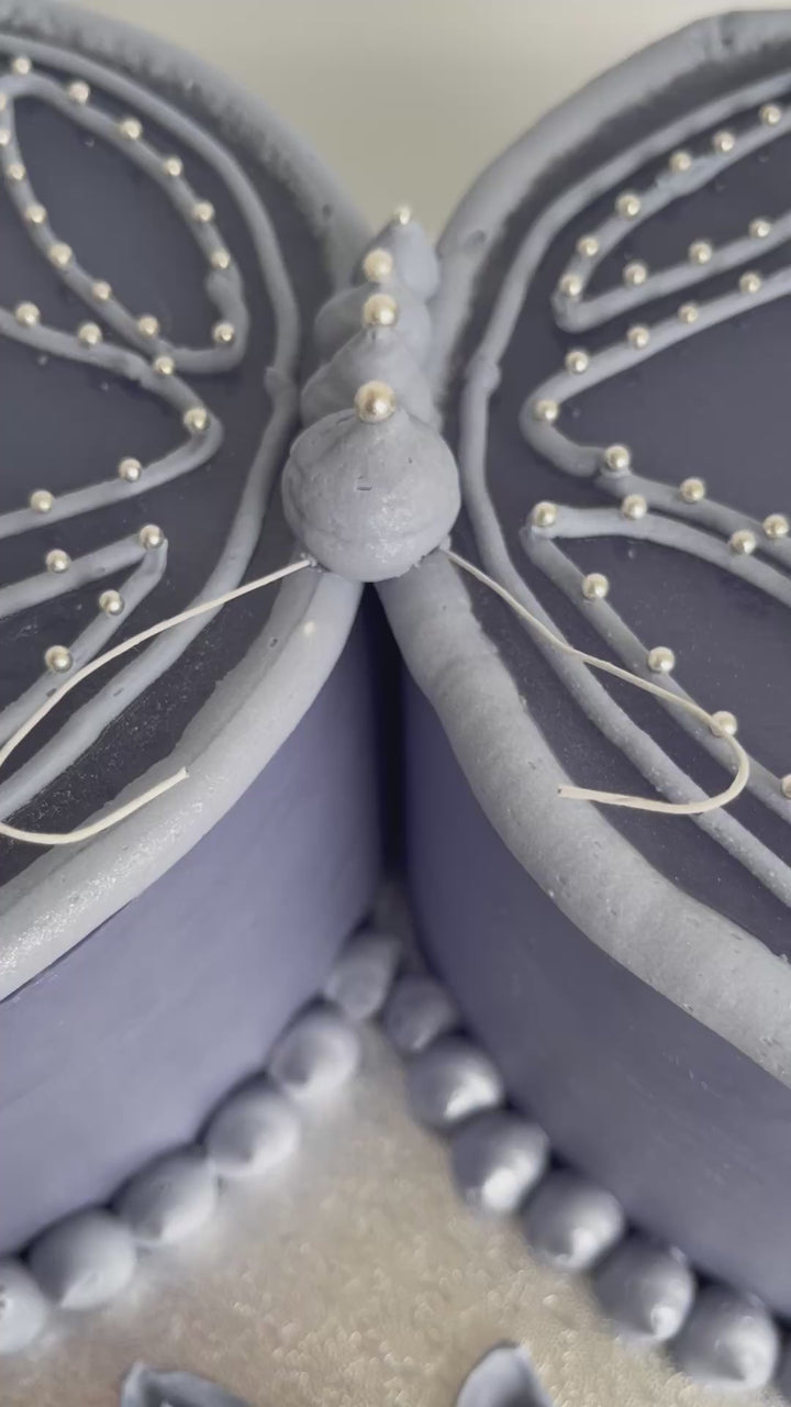 Butterfly Shaped Cake